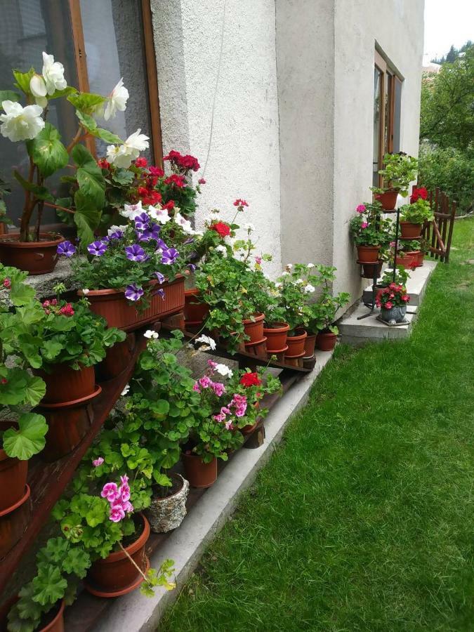 Guest House Emmy Trigrad Exterior foto